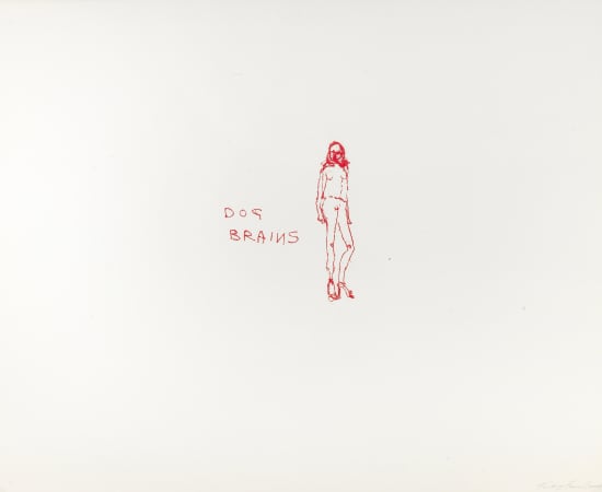 Tracey Emin, Dog Brains , 2000