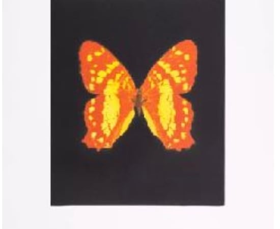 Damien Hirst, Regeneration - from the Butterflies portfolio, 2009