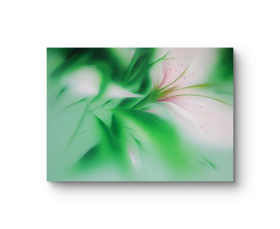 Zelam Lim, Sonata II, 2025