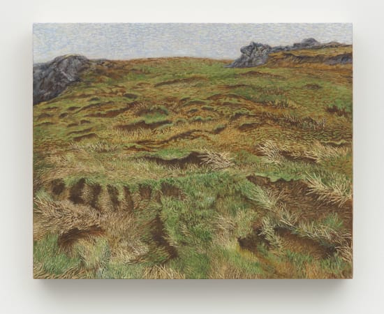 Pam Posey, Scar Point, 2022