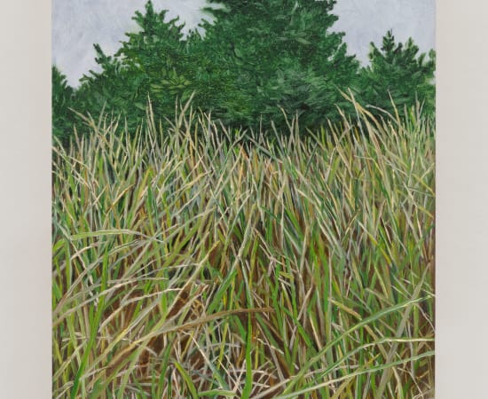 Pam Posey, Perpetual Meadow, 2024