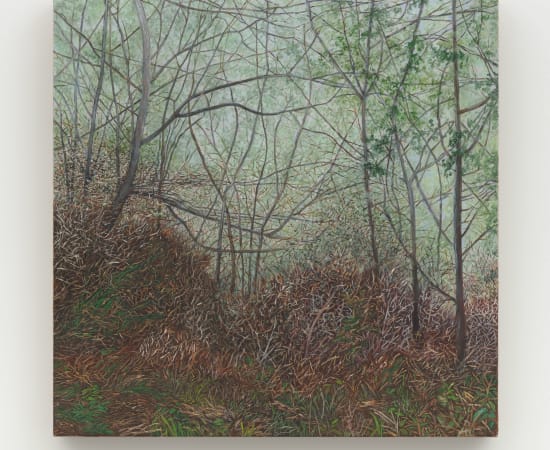 Pam Posey, Thicket, 2023