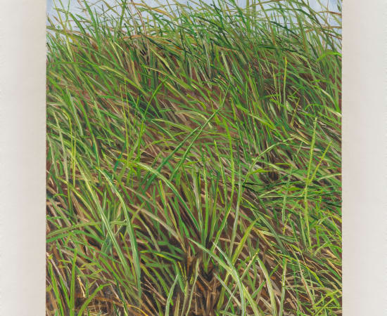Pam Posey, West Parcel, 2024