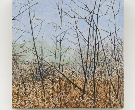 Pam Posey, Lot 10-10-23, 2024