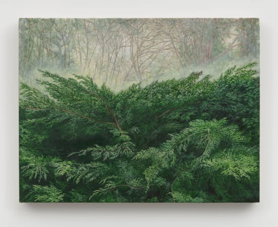 Pam Posey, Imperial Garden, 2024