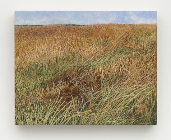 Pam Posey, The Incident, 2024
