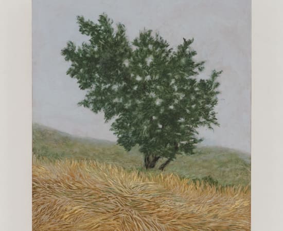 Pam Posey, Ridge Tree, 2024