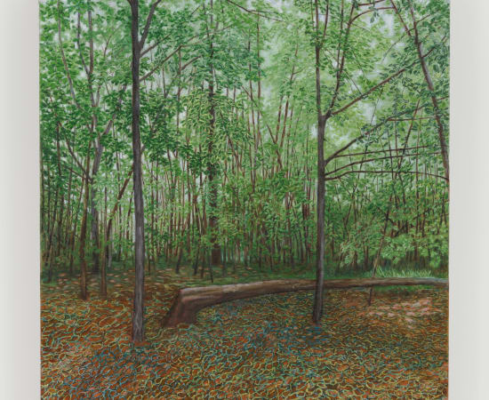 Pam Posey, Off Again, 2024