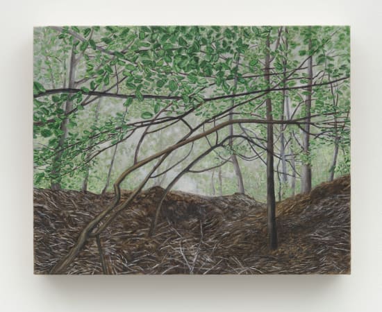 Pam Posey, The Ramble, 2022