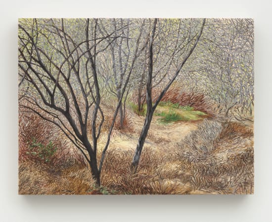 Pam Posey, Solstice Canyon, 2024