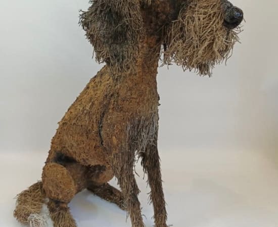 Gemma Rees, German Wire Haired Pointer