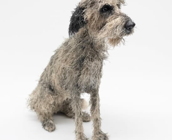 Gemma Rees, Wolfhound