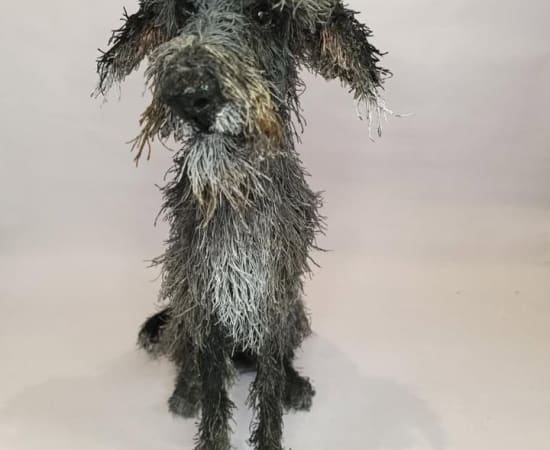 Gemma Rees, Lottie the Lurcher