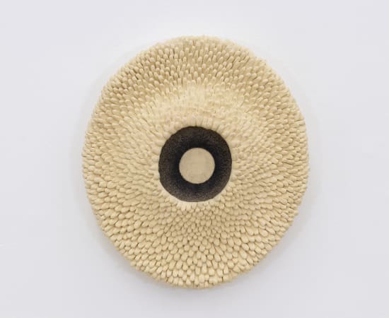 Ayla Tavares, Coral, 2024