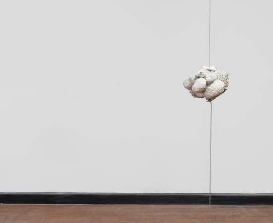 Jonas Arrabal, Coluna continental - oceânica (ou coral branco), 2024