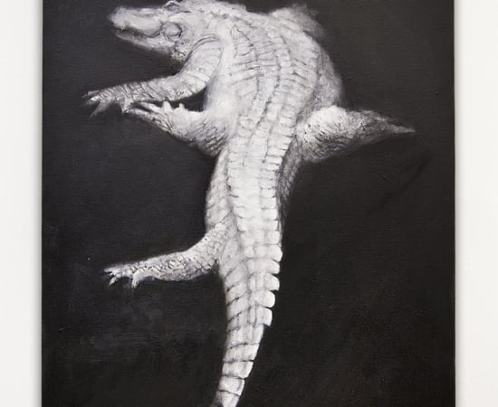 Frederico Filippi, O Jacaré Albino (The albino alligator), 2016