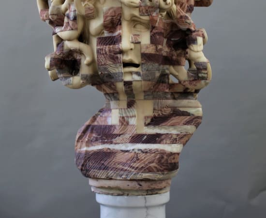 Seungwan Park, Coexistence - Medusa, 2022