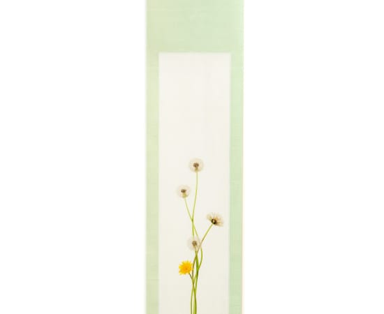 Takashi Tomo-oka, Tempopo, Dandelion 6 Scroll, 2020