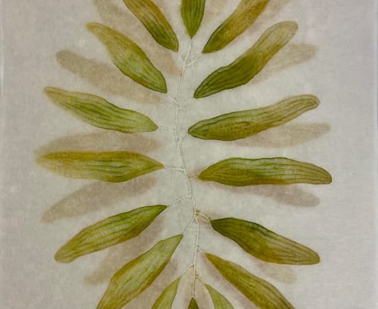 Mami Kato, Plant sway (green) [Framed], 2023