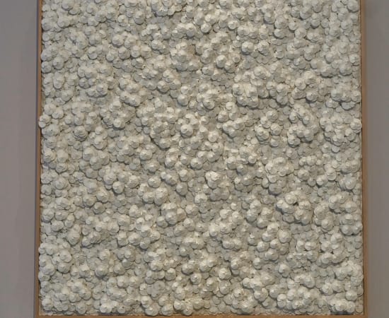 KAKU, Untitled 無題 , 2024