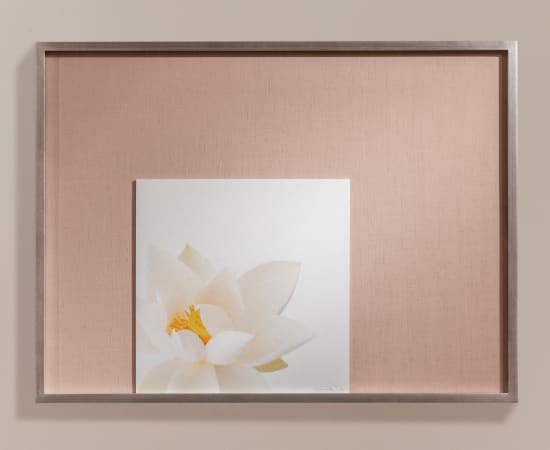 Takashi Tomo-oka, Kuwana White Lotus 3, Kuwana-Hakuren, 2017