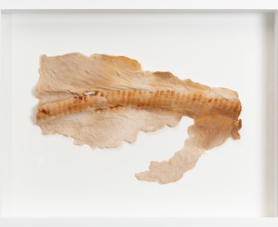 Yasue Maetake, Study for Printed Oxidation on Fiber #5, 2021
