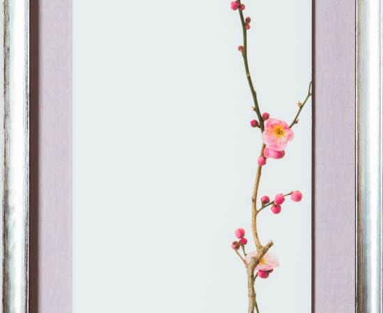 Takashi Tomo-oka, Red Plum Blossoms 4, 2020