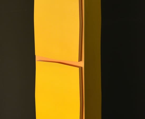 Roman Cotoșman, Rythmical Void I, 1991
