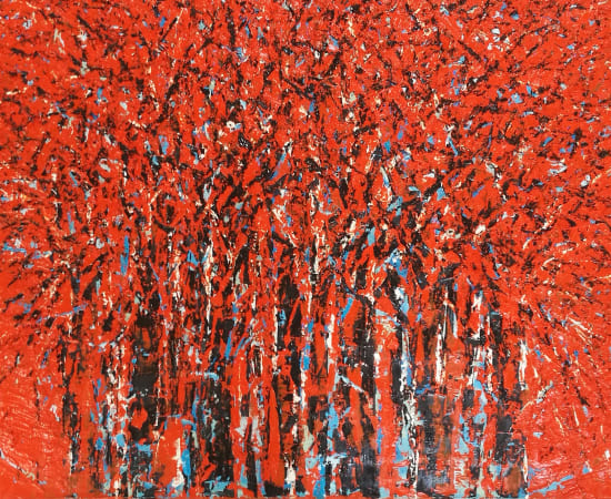 Ablade Glover, Red Forest Bird sanctuary, 2019