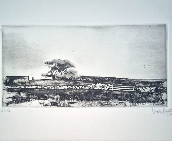 Joan Barbarà, Planura de Formentera (Publicado en Eivissa), 1949-2008
