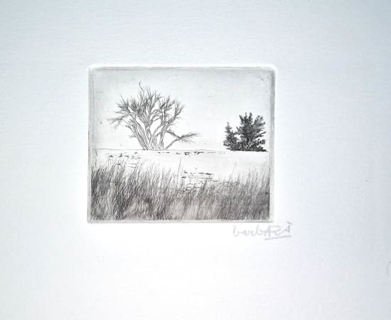 Joan Barbarà, Mur (Publicado en Eivissa), 1949-2008