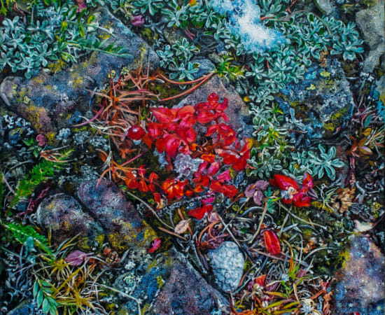 Dulcie Foo Fat, Cobble Flats Groundscape, 2019