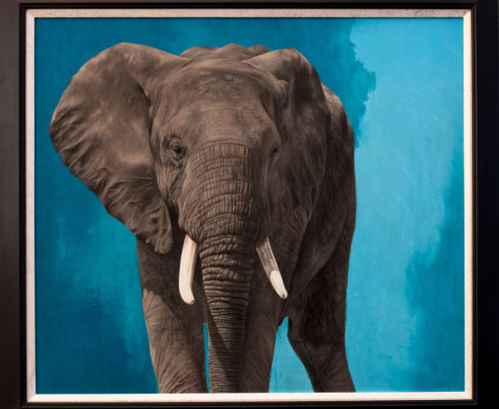 Emma Bowring, Elephant, 2023