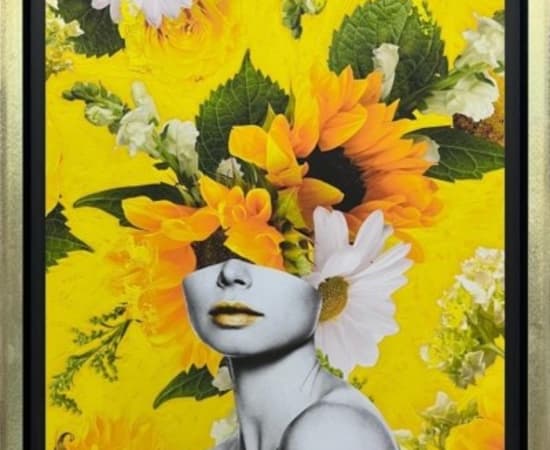 CHUCK, Sunflower Express