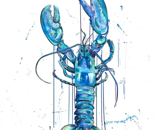 HAUT DE GAMME, Blue Lobster, 2023