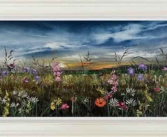 Field of wild flowers with stormy sky