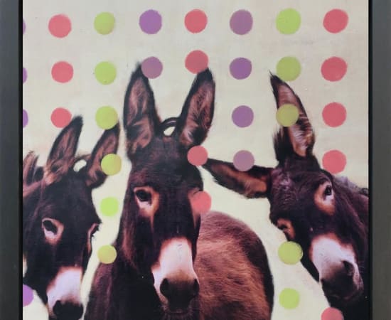 Linda Charles, Assing Around
