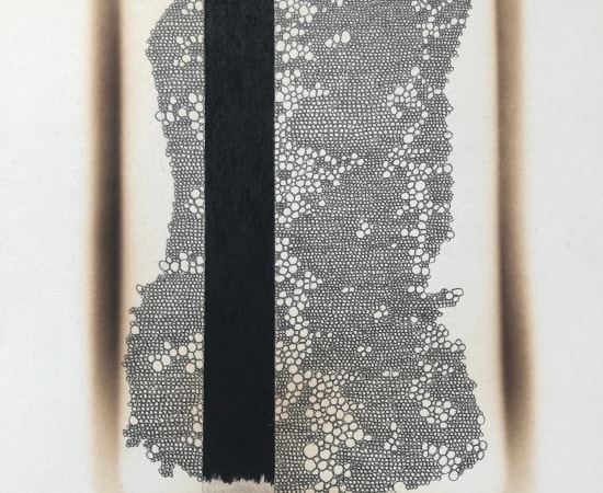 Mireille Robbe, Anthracologie #8