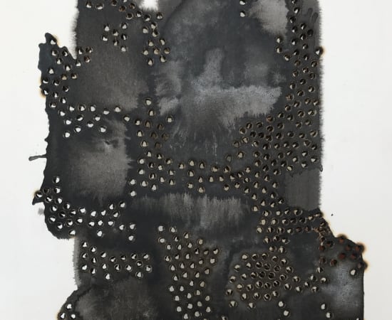 Mireille Robbe, Anthracologie #12
