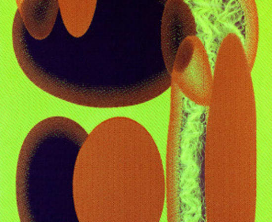 Amy Lewis, Fluorescence