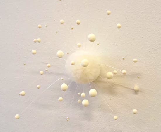 Sofie Aaldering, Ivory Pompom
