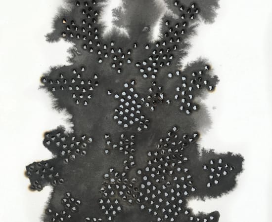 Mireille Robbe, Anthracologie #11,