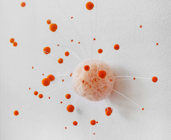 Sofie Aaldering, Orange Pompom