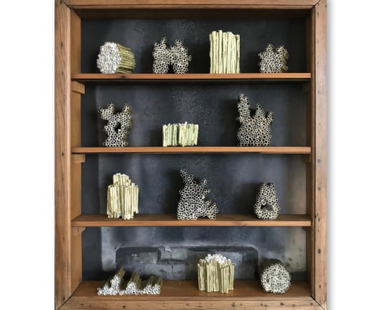 Mireille Robbe, Cabinet Anthracologique