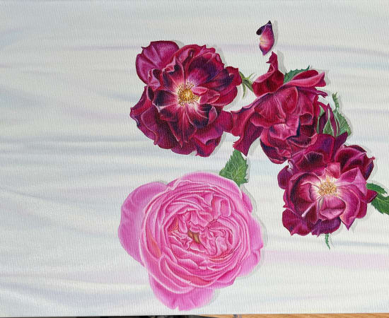 Olga Calado, Roses on White Taffeta