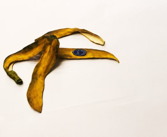 Jessi Strixner, Banana Laying, 2023