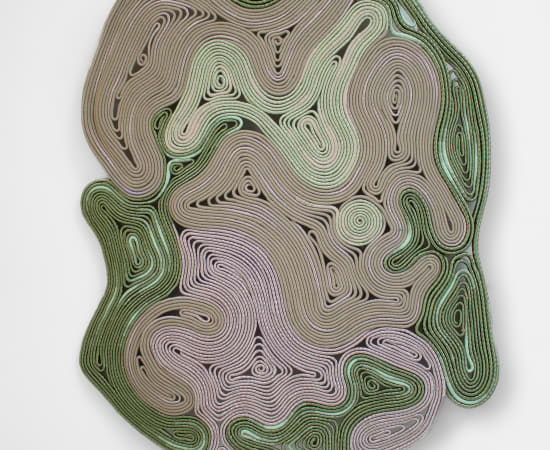 Joana Schneider, Pond Slider
