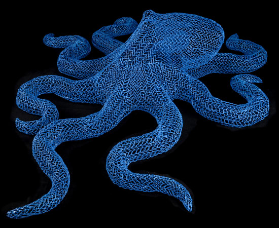 Eka Acosta, Deep blue Octopus