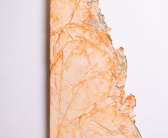 Esther Hoogendijk, Plaque orange corner