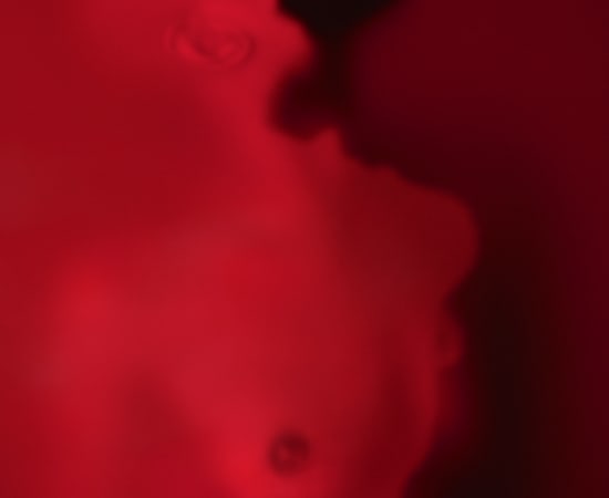 Carli Hermès, Distortion - Red Cloud
